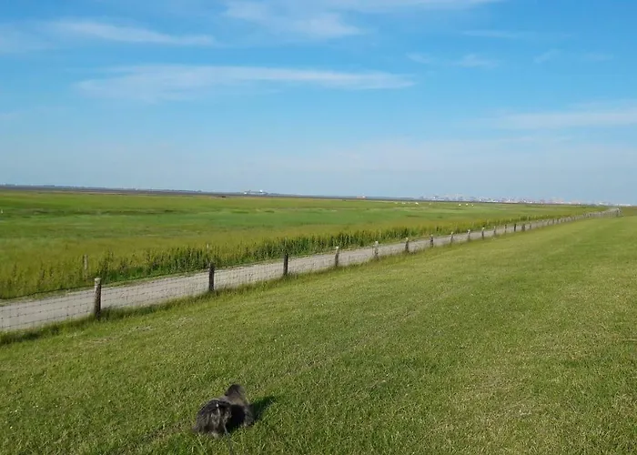 아파트 Funnys Deichblick 부차딩엔